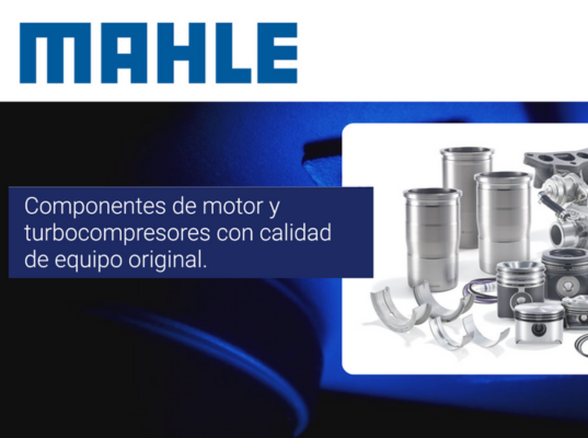 Mahle